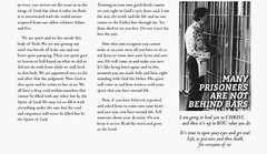 “Behind Bars” Gospel Tract- Evangelism – Biblical teaching $11.99 -3 x 4.5 in