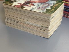 Magic Tree House Chapter Books YOU CHOOSE PICK, BUILD A LOT Merlin Mission