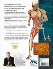 Introduction to Anatomy Physiology, Vol 1 The Musculoskeletal System by Mitchell