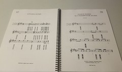 Native American Flute Song (Anishnaabe bbigon ngamwin) Spiral Paperback Music