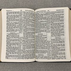 World Simplified Reference Bible KJV Red Letter Center Column Genuine Leather