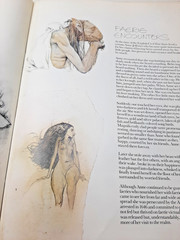 Vintage Faeries Book 1978 First Edition Printing Brian Froud Mythical Fairy Art