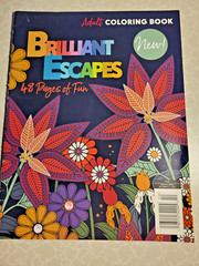 BRILLIANT ESCAPES – ADULT COLORING BOOK – 48 Pages of Fun! Coloring Tips-NEW!