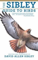 Sibley Guide to Birds by David Allen Sibley (2000, Hardcover)