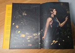 This Vicious Grace by Emily Thiede Fairyloot Exclusive Edition
