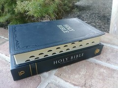 Cowhide KJV Bible ~ standard size ~Thumb Indexed ~ Genuine Leather ~ Red Letter