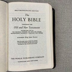 World Simplified Reference Bible KJV Red Letter Center Column Genuine Leather