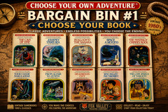 Choose Your Own Adventure Bargain Bin CYOA More Books Added Today! 12/29/25
