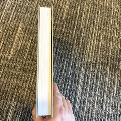 New American Commentary, EZEKIEL Vol 17