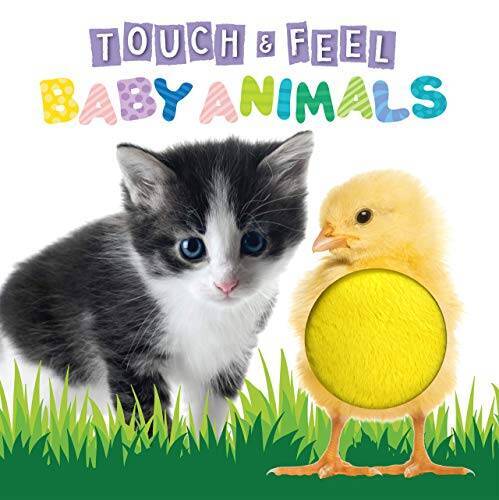 Touch and Feel Baby Animals – Novelty Book – Childrens Board Book – – VERY GOOD