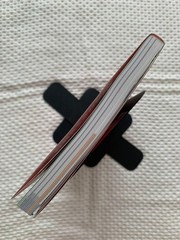 Biohazard Code Veronica Official Guidebook Famitsu