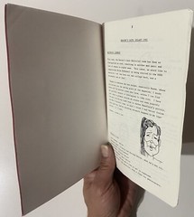 Heaven’s Gate : What Went Wrong? (1991 Staple Bound Paperback)