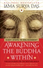 AWAKENING THE BUDDHA WITHIN Lama Surya Das FREE SHIPPING paperback book tibetan