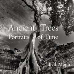 Ancient Trees: Portraits of Time – Hardcover By Moon, Beth – GOOD
