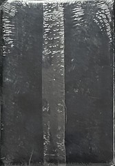 Holy Bible King James Version NEW in Shrinkwrap