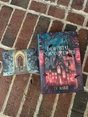 FairyLoot Immortal Consequences I.V. Marie STENCILED REVERSIBLE EXCLUSIVE