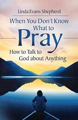 When You Don’t Know What to – Paperback, by Shepherd Linda Evans – Very Good