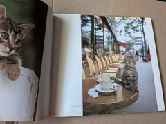 Kittens On Vacation by Shinjiro Sagara (1990, Trade Paperback)