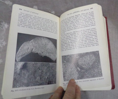 SYNOPSIS OF PATHOLOGY Seventh Ed ~ W.A.D. Anderson / Thomas Scotti ~ 1968 5th HC