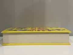 Fake Skating by Lynn Painter – Signed