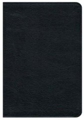 Premium Bible-NRSV by Cokesbury: Used