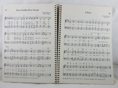 LIFT HIM UP * 1977 Spiral Bound * Benson Company pb book – Hymns Songs