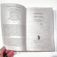 GREY BEES by Andrey Kurkov (2018 Maclehose Press, London, Softcover)