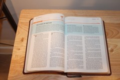 Wayfinding Bible by Tyndale House Publishers Staff (2013, Imitation Leather)