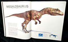 Giant Book Dinosaurs by Steve Brusatte 2008 Quercus 17”x 14”