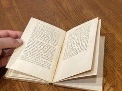 Antique RIP-VAN WINKLE BY WASHINGTON IRVIN HARD COVER BORSE & HOPKINS 47 Pages