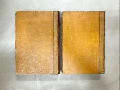 Amédée Varin Illustrated Book LES PAPILLONS set of 2 Books 10.6 x 7.4 inches