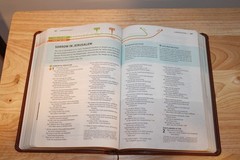 Wayfinding Bible by Tyndale House Publishers Staff (2013, Imitation Leather)