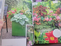 Container Gardening by BH&G – 100 Easy-Care Combos for Sun or Shade- Like A Pro