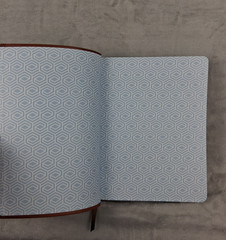 The Bible Recap: A One-Year Guide by Tara-Leigh Cobble – Faux Leather Edition