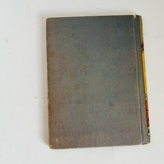 Noah’s Ark Rand McNally 349 Hardcover 1955 Dorothy Bell Briggs Tony Brice Vtg