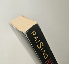 Raising Hell Encyclopedia of Devil Worship Satanic Crime Newton UK Ed PB 1994