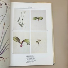 A Redouté Treasury 468 Watercolours Les Liliacées 1986 First US Ed Vendome Press