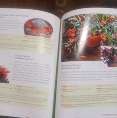 Houseplant Handbook: Basic Growing Techniques and a Directory of 300 Everyda…
