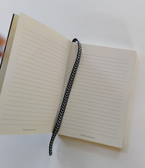 Christian Lacroix Paseo Silver Journal 4×5.75 Softcover Lined Notebook Paris New