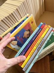Boxcar Children Gertrude Chandler Warner 1-45 – No Duplicates Paperback