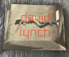 David Lynch: Dark Splendor by Dietmar Dath (2010, Hardcover)