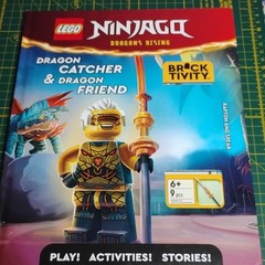 Scholastic LEGO Ninjago Dragon Catcher & Dragon Friend HC 1st Ed 2025 Eng