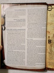 Epic Level Handbook page 319 not fully on Dungeons & Dragons hardcover used book