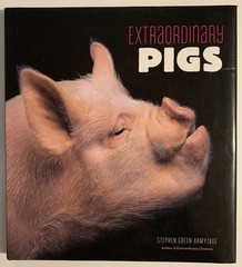 Extraordinary Pigs