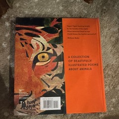 Nosy Crow Tiger, Tiger, Burning Bright! Hardcover (2017) Illus Britta Teckentrup