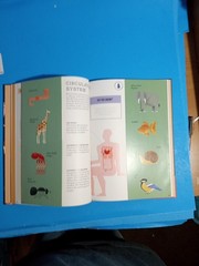 Kids Learning Bushel & Peck Foldout Anatomy – Inner Workings – Sleep Lot 3 Books