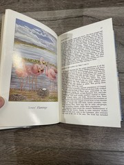 Flamingos Malcolm Carol Ogilvie 1986 Hardcover First Edition Dust Jacket Book