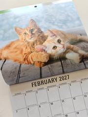 2027 / CATS Mini 12-Month Wall Calendar – 6″ x 6″ ( 6 by 6 Inches )