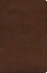 ESV Spanish/English Parallel Bible (English) Leather Book