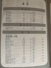 拼音圣经 Pinyin Bible Chinese Bible Leather Bound 1 Book 2025 Edition God 儿童 大字拼音圣经